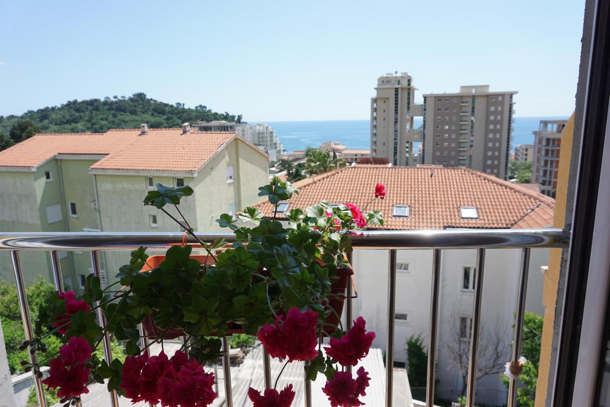 Vila Lena Petrovac 객실 사진